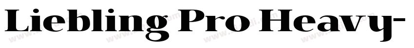 Liebling Pro Heavy字体转换